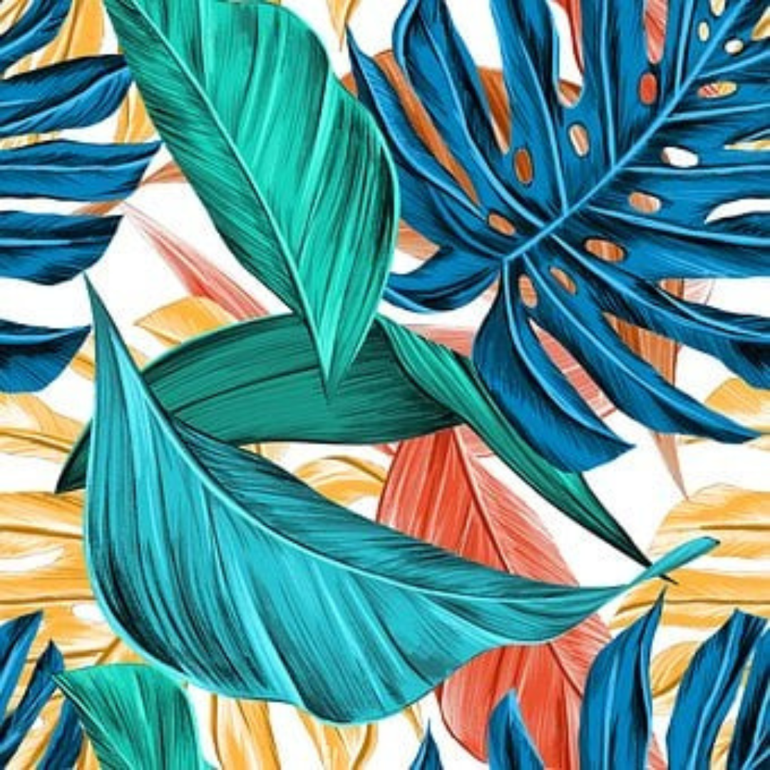 Dessin et lithographie