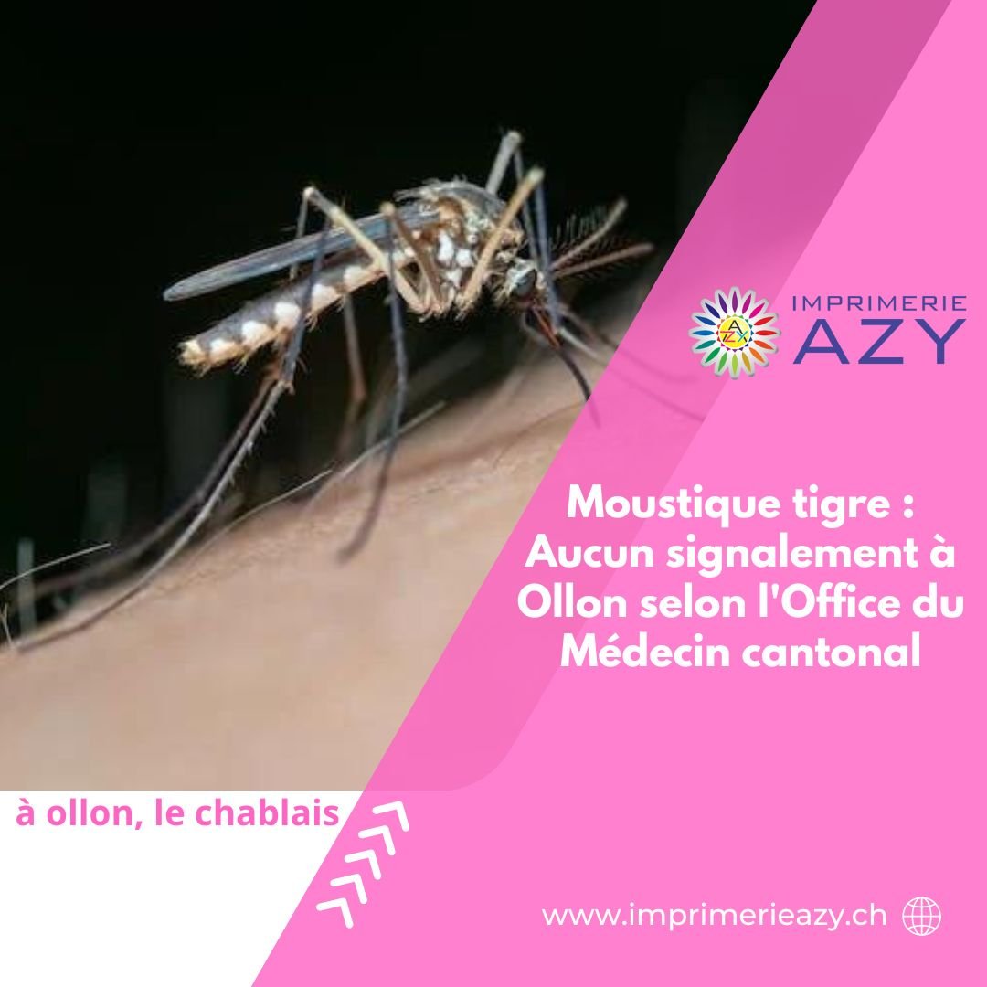 Moustique tigre : Aucun signalement à Ollon selon l’Office du Médecin cantonal