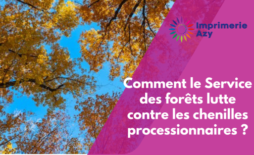Comment le Service des forêts lutte contre les chenilles processionnaires (2)