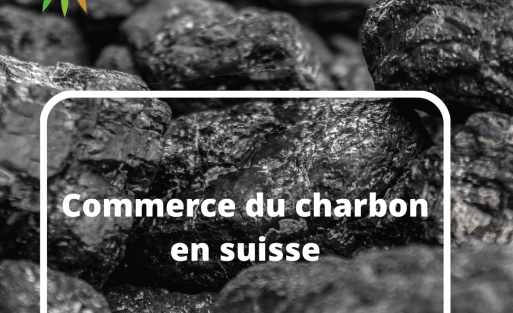 Commerce du charbon en suisse