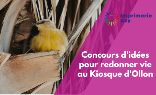 Concours d'idées pour redonner vie au Kiosque d'Ollon (1)