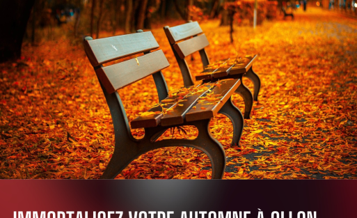 Imprimez vos Souvenirs d'Automne avec l'Imprimerie Azy