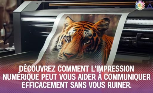 Découvrez comment les supports imprimés peuvent booster votre visibilité et votre impact dans le Chablais. (3)
