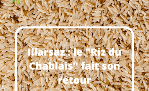 Illarsaz le Riz du Chablais fait son retour