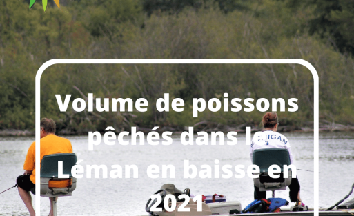 Volume de poissons pêchés dans le Léman en baisse en 2021