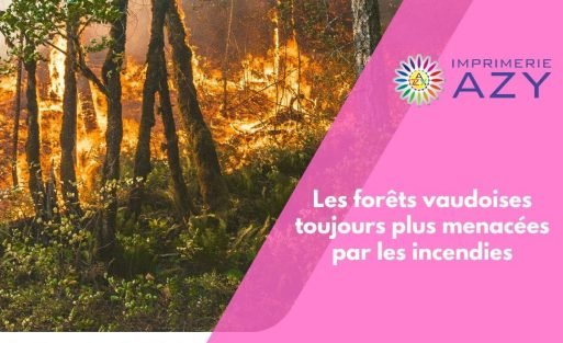 Les forêts vaudoises toujours plus menacées par les incendies (1) (1)