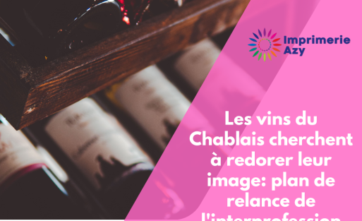 Les vins du Chablais cherchent à redorer leur image plan de relance de l'interprofession
