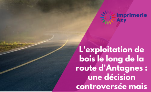 L'exploitation de bois le long de la route d'Antagnes une décision controversée mais nécessaire (2)