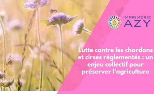 Lutte contre les chardons et cirses réglementés un enjeu collectif pour préserver l'agriculture (1)