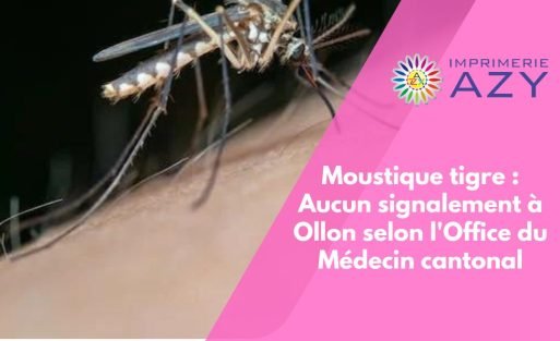 Moustique tigre Aucun signalement à Ollon selon l'Office du Médecin cantonal