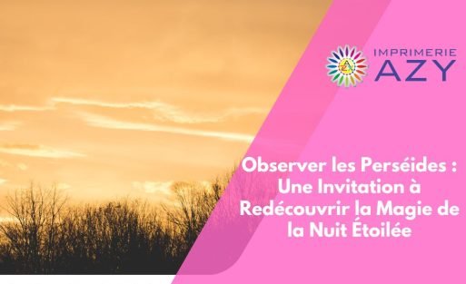 Observer les Perséides Une Invitation à Redécouvrir la Magie de la Nuit Étoilée (1)