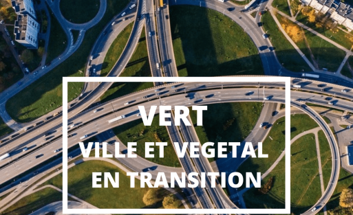 VERT VILLE ETbVEGETAL EN TRANSITION-min