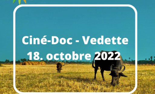 Vedette