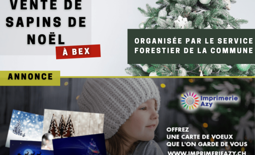 Vente de sapins de Noël à Bex