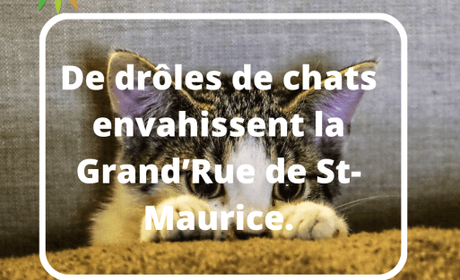 chat (2)