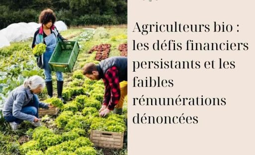 httpsimprimerieazy.ch(2) (1)