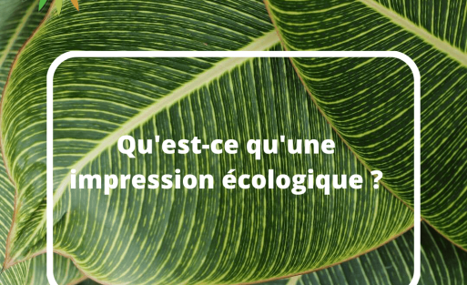 impression écologique