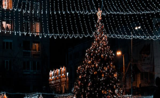 Festival Arbres et lumières à la ville de Genève
