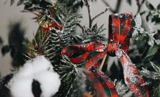 sapin-de-Noel