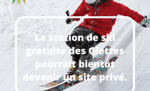 ski