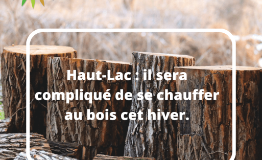 Haut-Lac : il sera compliqué de se chauffer au bois cet hiver.